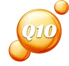 Koenzim Q10 (CoQ10)