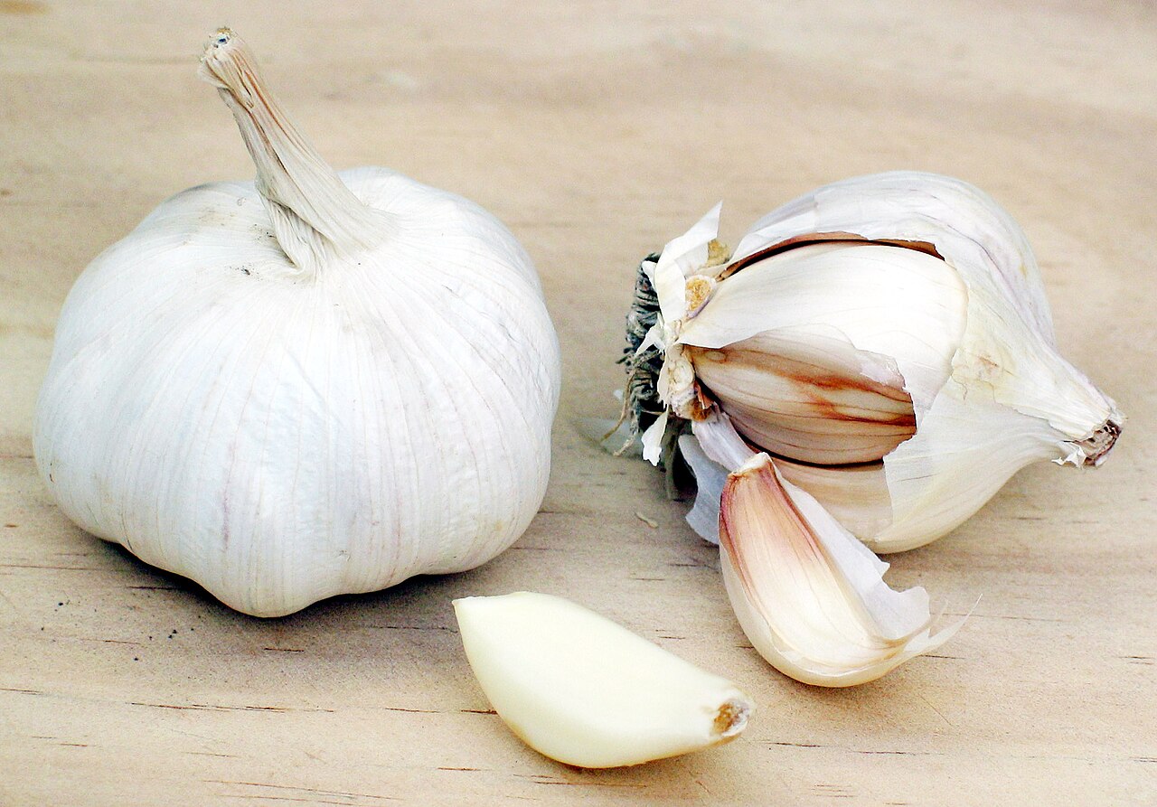 Sarımsak ekstresi (Allium sativum)