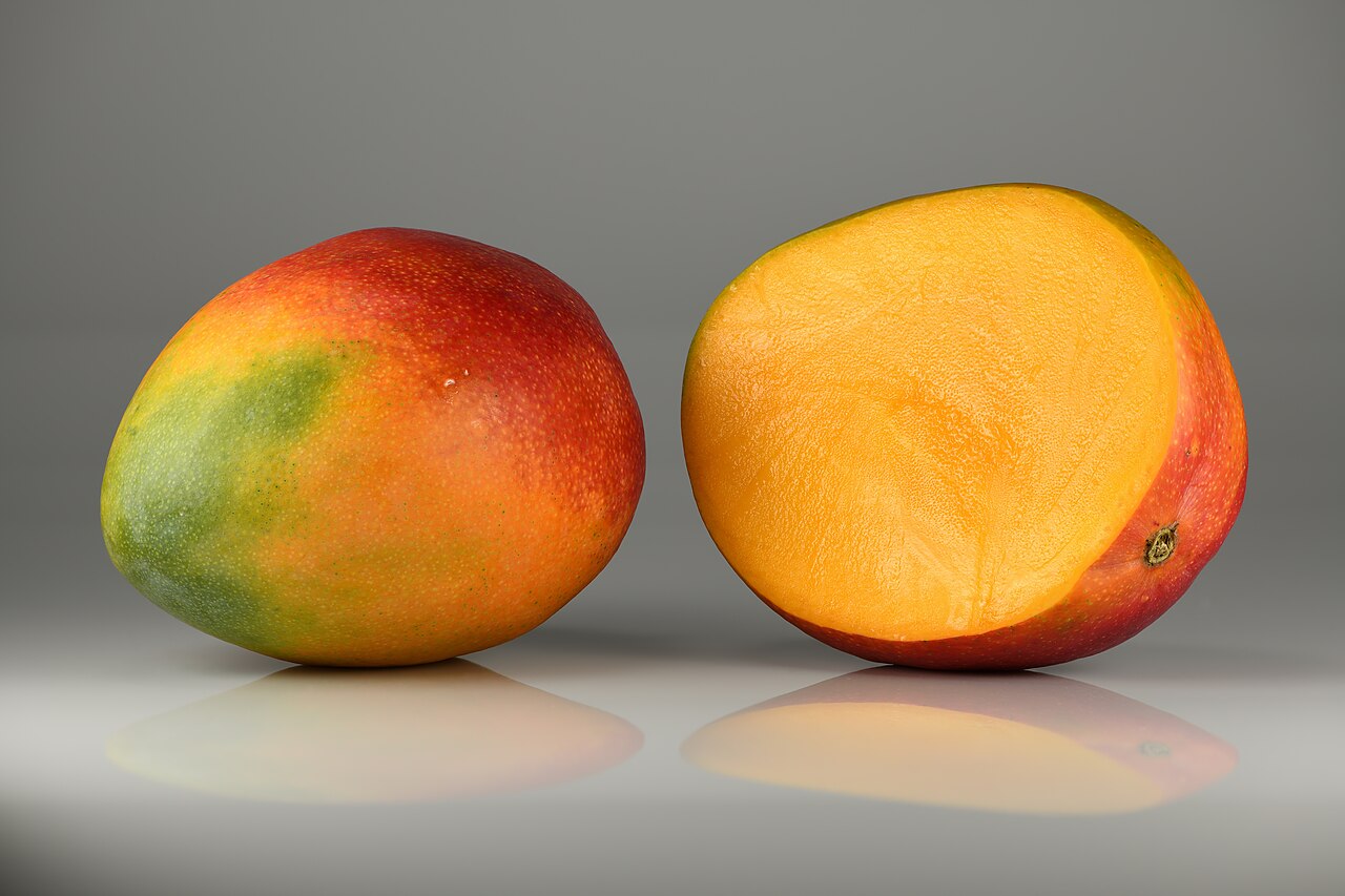 Hindistan mango ekstresi