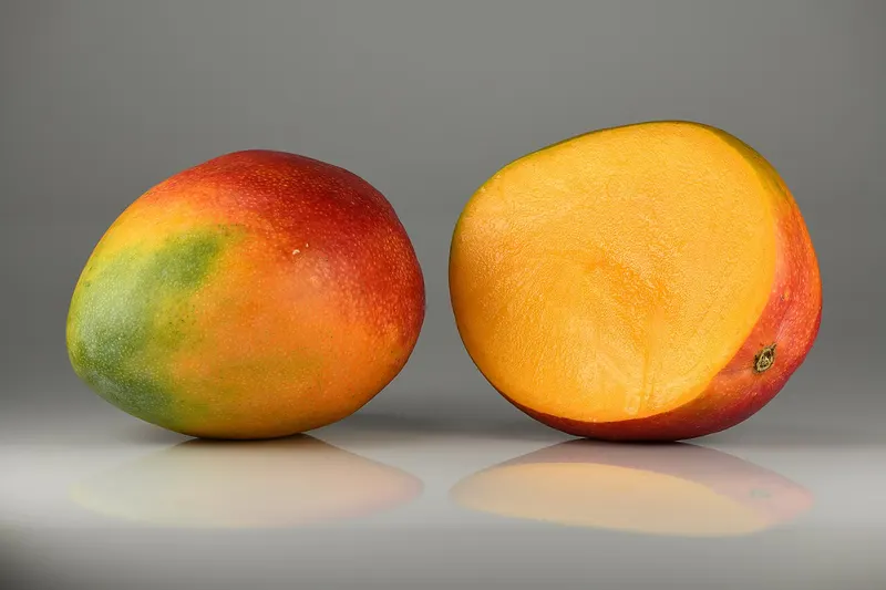 Hindistan mango ekstresi